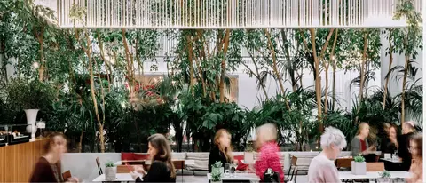 Museum of Cycladic Art - Cafe